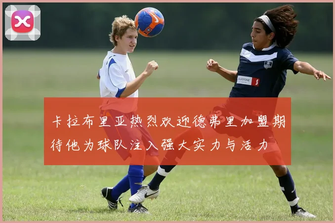 卡拉布里亚热烈欢迎德弗里加盟期待他为球队注入强大实力与活力