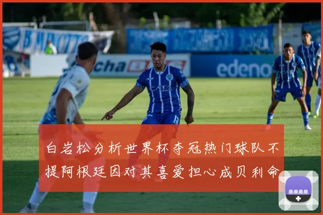白岩松分析世界杯夺冠热门球队不提阿根廷因对其喜爱担心成贝利命运